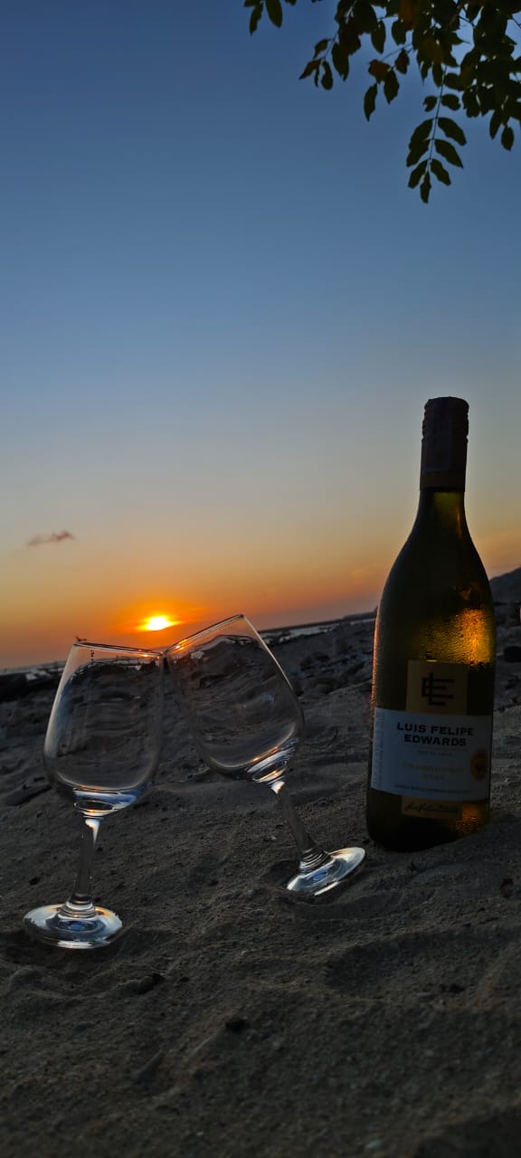 WhatsApp Image 2025-11-04 at 14.06.15_7edf67ac