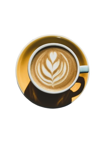 WhatsApp Image 2025-11-06 at 13.13.31