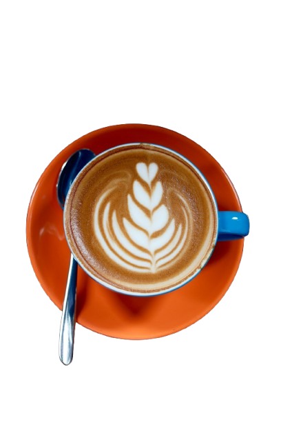 WhatsApp Image 2025-11-06 at 13.20.42