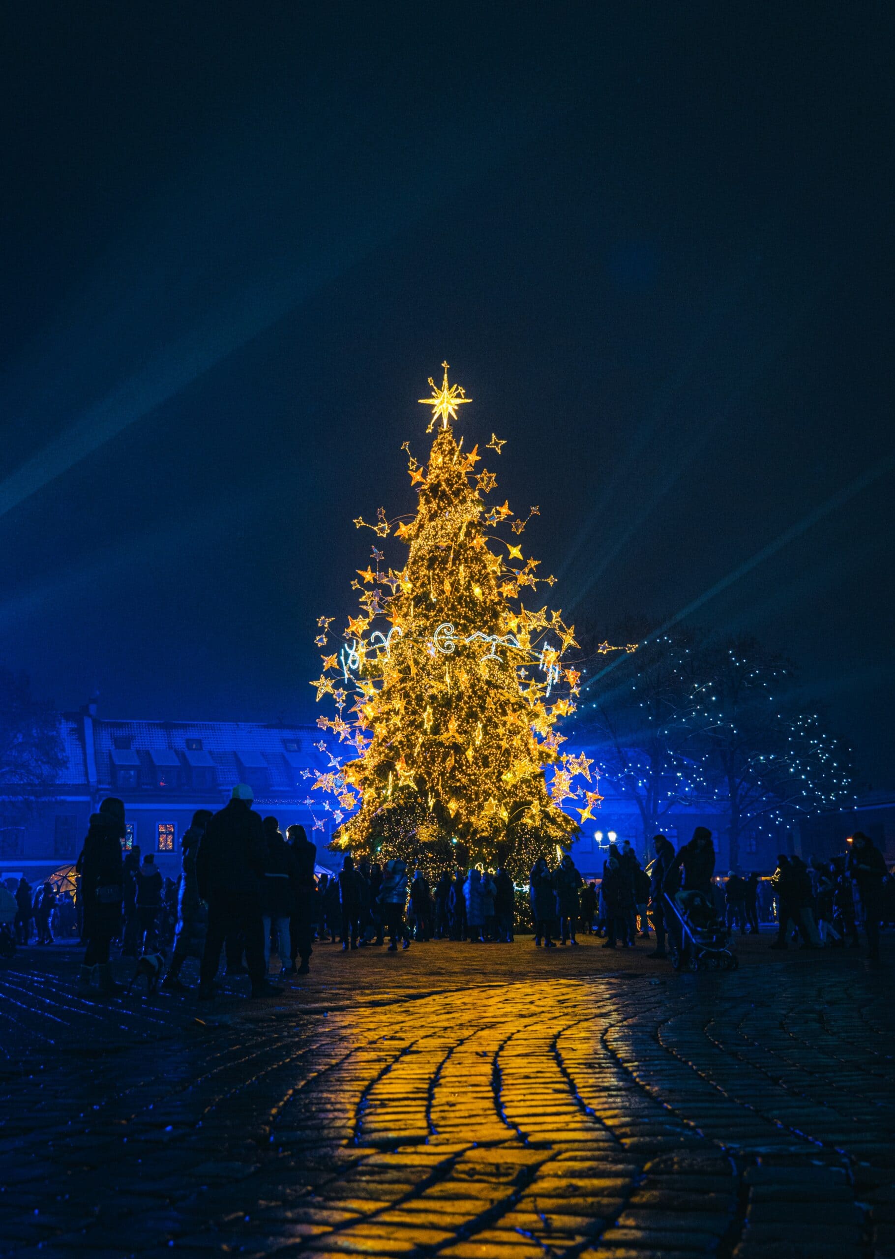 gytis-bukauskas-m0qI3llSDNI-unsplash-scaled