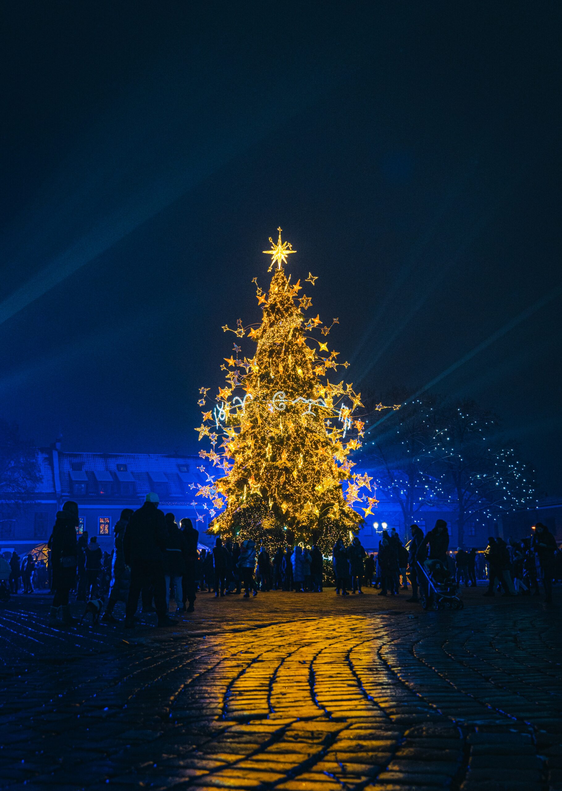 gytis-bukauskas-m0qI3llSDNI-unsplash